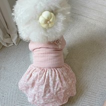 그루밍독 반려동물 핸드메이드 족두리, 옐로우