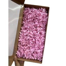 100g 보존된 천연 나무 수국 영원한 신선한 축제 장식 꽃 DIY 재료, 06 Color 6_01 100g