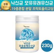 낙산균 모유유래유산균 모유수유 유산균 락토바실러스 플란타럼 뷰티르산 가루 분말 유산 균