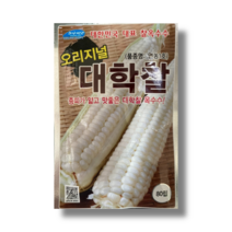 찰옥수수 씨앗 종자 대학찰 80립