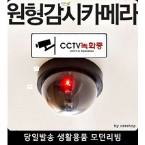 방범용카메라 방범 도어경보지 모형CCTV 창문 잠금장치 cctv작동중 보안용품, 방범도어경보기(대)