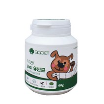 지오펫 강아지 애견 반려동물 유산균 영양제, 1개