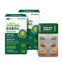 징코 플러스 30정x2박스 은행잎, 2개