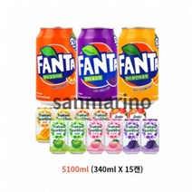 트로피카나 [뚱캔박스세트] 스파클링과일세트 뚱캔15캔 럭키박스, 1개, 5100ml