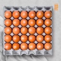 보섭이네푸드 국산 영양만점 햇달걀 구운계란 30구 1판 HACCP, 단품