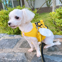 댕냥펫 강아지 꿀벌 하네스 소형견 새끼강아지 찍찍이 가방 하네스 리드줄 포함, S