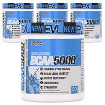 EVLUTIONNUTRITION BCAA 5000mg, 240g, 4개