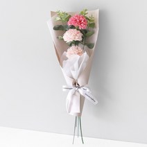 블루밍앤미 핑크 카네이션 3p 프릴 꽃다발, 혼합색상
