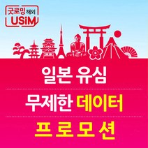 일본유심 소프트뱅크 무제한 데이터 심카드 공항수령, 인천제1터미널, 2. 매일 500MB {30일}