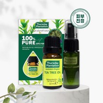 호주 티트리 원액 100% 오일 10ml 기획세트 EWG 그린등급, 단품