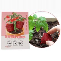 실내화분용 비료 2개입 오이 고추 열매식물용 5개 흙 자재 작은 용품 소량 비료 베란다텃밭 원예 꼽는