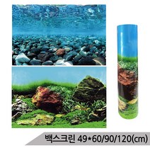 백스크린 49cm 사이즈선택 수족관 어항배경 C525550