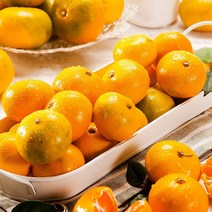 [초록자연] 노지 새코미 감귤 10kg (특대과) 제주산, 상세 참조
