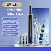 초음파치석제거기 셀프 스케일링 가정용 치석제거기, 블루