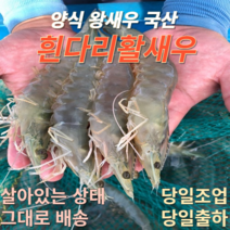 고흥 제철 흰다리 활 새우 대하, 2kg(40미 내외)