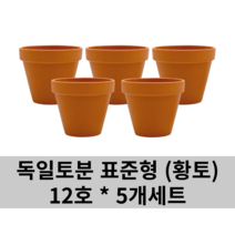 독일토분(표준형) 오리지널(황토) 12호 5개 세트