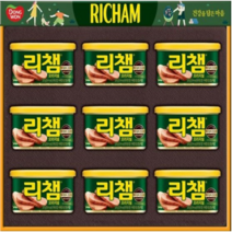 동원 리챔 선물세트 6호(리챔 오리지널 200g x 9개), 2개