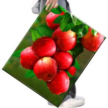 FASEN 액자 보석십자수 캔버스형 DIY 키트 40 x 50 cm, 1세트, FAN05.돈들어오는 사과