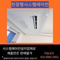 1WAY 10평형 천장형 시스템 에어컨 천정형 시스템에어컨 냉난방기, TW0400U2S