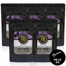 프리미엄 눈엔 차즈기 자소엽 분말 국내산100% 차조기 차 티백 온가족용, 160g, 5개