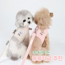 [리토가토] 러비 커스텀 캐릭터 강아지 하네스 5가지 색 (컴퓨터 자수) 동물학교 추천, 블루