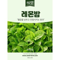 레몬밤씨앗 (200립)