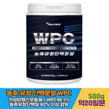 농축 유청 단백질 WPC 헬스 보충제 쉐이크 파우더 프로틴 BCAA 류신 이소류신 발린 아미노산 함유 식사대용 30대 40대 남성 남자 헬린이 머슬 마니아 건강 보조제 보조식품
