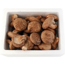 무농약인증 영월 생 표고버섯 1kg(상), 1개