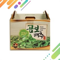 셀러허브 식품 [엄마애손] 엄마애손 국산 곰보배추 먹는법 추출액 즙 60팩, 플라보노이드풍부한건강엑기스