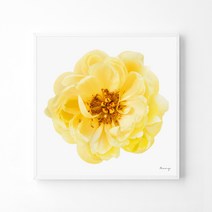 풍수아트 9.M 레몬 | 화이트 메탈액자 중대형20호 [60.6x60.6cm]