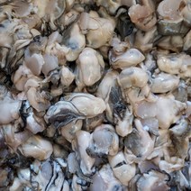 통영 굴 생굴 깐굴 제철, 생굴(1kg)