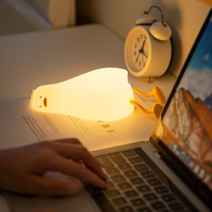 크레바스 수면 오리 취침 멍때림 충전식 무드등