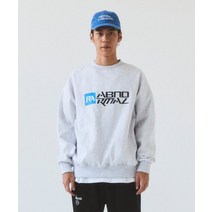ABNORMALTHING SC22 CREWNECK (LIGHT GREY)