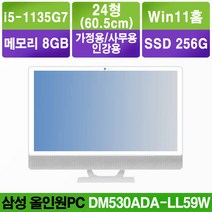 삼성 일체형PC DM530ADA-LL59W/i5-1135G7/24형/SSD256G/8G/Win11홈/가정용 사무용 인강용