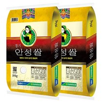 홍천철원 22년 햅쌀 안성농협 경기 안성쌀 참드림 특등급 10kg+10kg 박스포장, 단일상품/단일상품