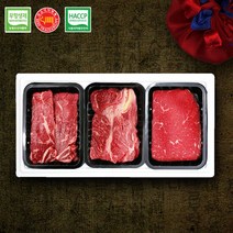 [무항생제 한우선물세트] 한우지애 3호 1kg (1등급), 단품