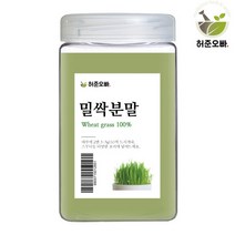 허준오빠 밀싹파우더 분말, 1개, 250g