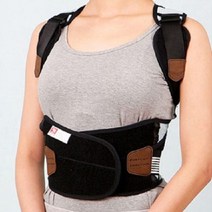자세 교정 부목 척추 상체 허리 교정기 벨트, 자세교정부목_M