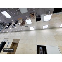 천장마감재 SMC 대체용 하이엔드 미러 스텐 천장재 (사우나 실내 외부 필로티 주차장), 미러실버, 300X600