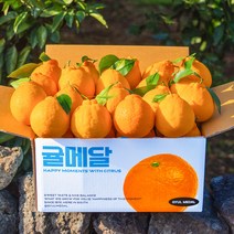 [당도선별] 제주 한라봉, 소과 3kg