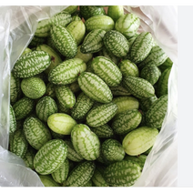 싱싱한 쿠카멜론 500g 상큼 아삭 쿠카메론 미니오이 멕시코오이 쿠카멜론피클 핑거라임 미니수박, 1개