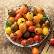 컬러 대추 방울토마토 로얄과 고품질 1kg, 1개