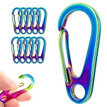 DOKEEP 4.3cm(1.77인치) 스테인리스 스틸 클립 스프링 스냅 후크 10개 EDC 미니 카라비너 맞춤형 퀵 릴리즈 야외 키 체인 캠핑 낚시 하이킹 여행용 (멀티 컬러), Multi-Color