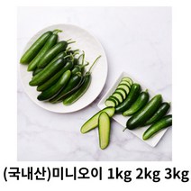미니오이 1.5kg 3kg 국내산 주문폭증 산지직송 스낵오이 청오이 꼬마오이 수분가득 청량감 아삭아삭 오이소박이 오이무침 등산용 캠핑용, 1box, 2kg