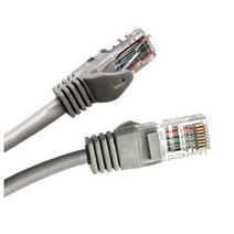 넥시 UTP CAT 5E UTP 랜선 랜케이블, 혼합색상, 2개