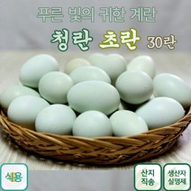 귀한 건강한 청란 초란 어린닭이 낳은 청계란 유정란, 30구