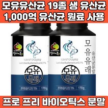 모유유산균 가루 분말 루테리 가세리 프리미엄 생 유산균 19종 1000억 유산균 원료 프로 프리 신 바이오틱스, 2개, 170g