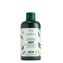 더바디샵 티트리 컨디셔너 250ML, 1개