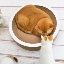 [에이치플러스몰] 고양이 오목형 스크래처 베드 바구니 포근 안락, 상세 설명 참조