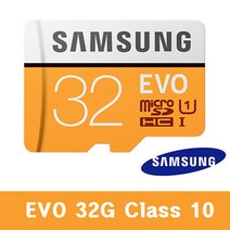 삼성전자 스미스클럽 블랙에디션 SB-300 외장메모리카드 32G EVO, 32GB